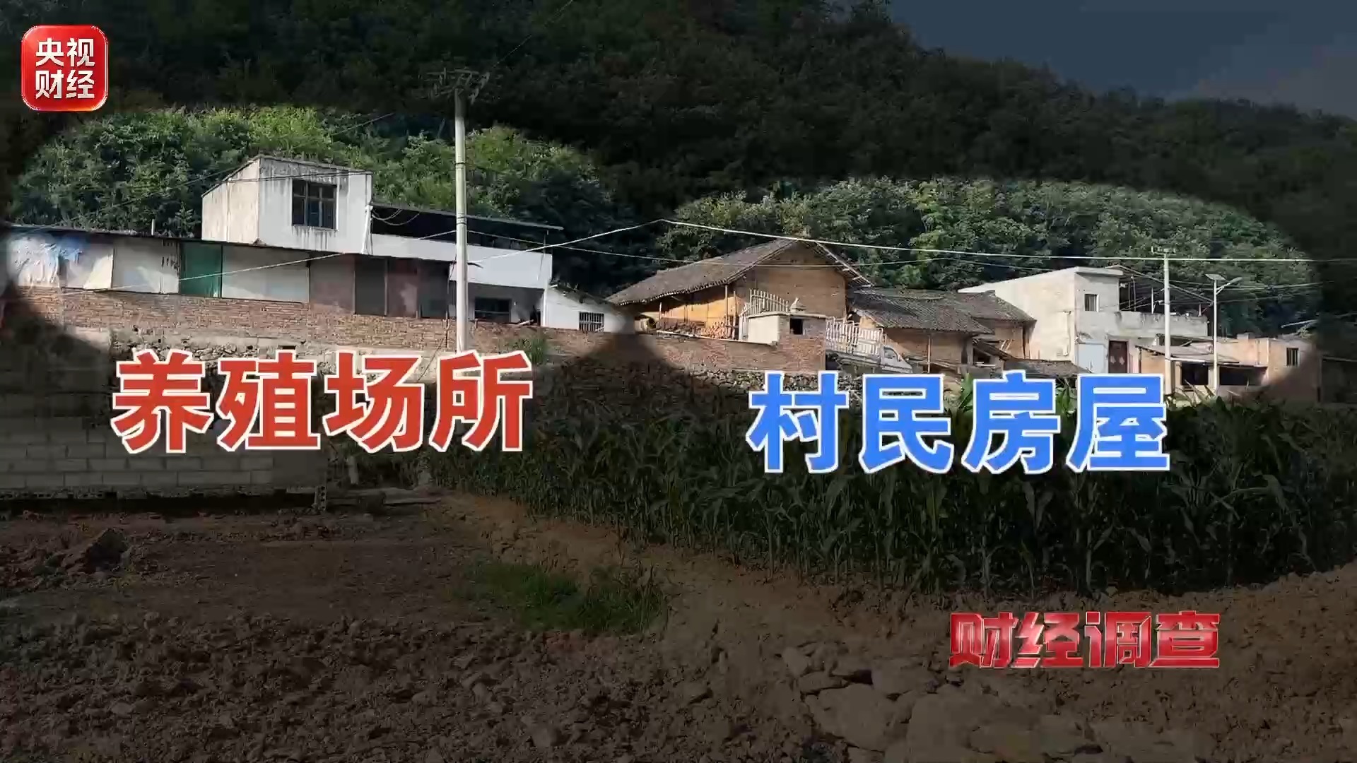 财经调查丨良田被毁 污水入河！这些民生治污工程形同虚设