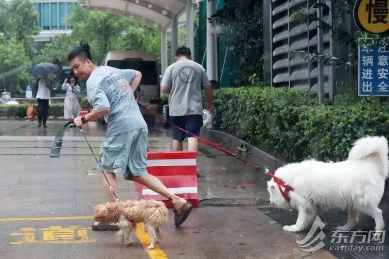 上海地铁多条线路停运，上海公交“顶上去”！