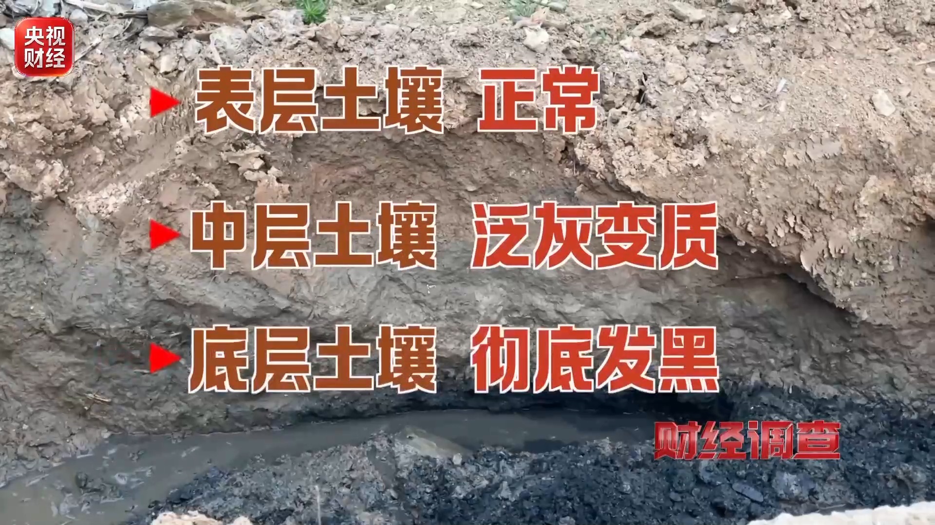 财经调查丨良田被毁 污水入河！这些民生治污工程形同虚设