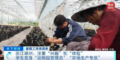 令人“心动”的offer,大学生扎堆当景区NPC! 令人“心动”的offer,大学生扎堆当景区NPC!