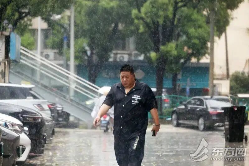 上海地铁多条线路停运，上海公交“顶上去”！