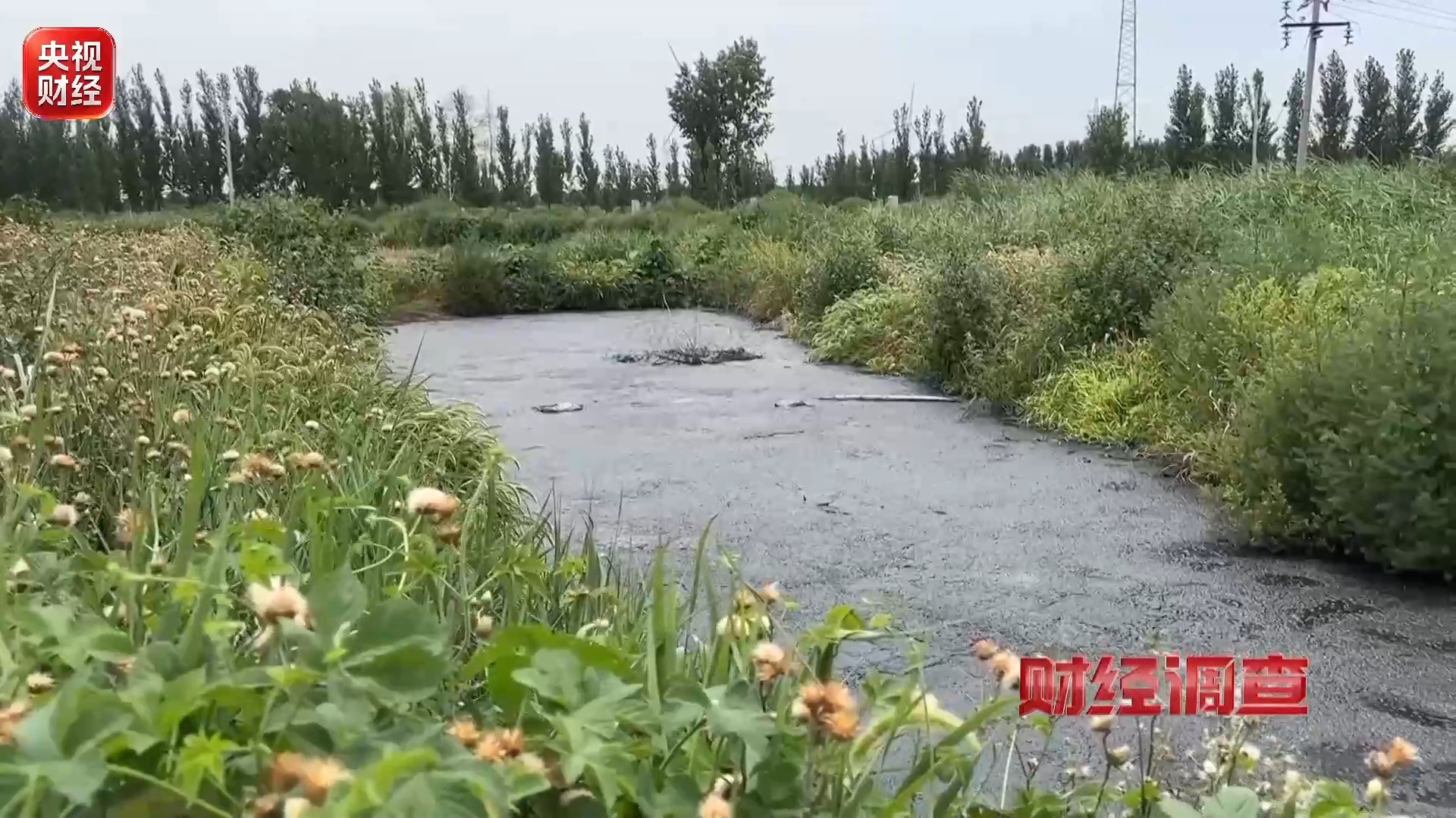 财经调查丨良田被毁 污水入河！这些民生治污工程形同虚设