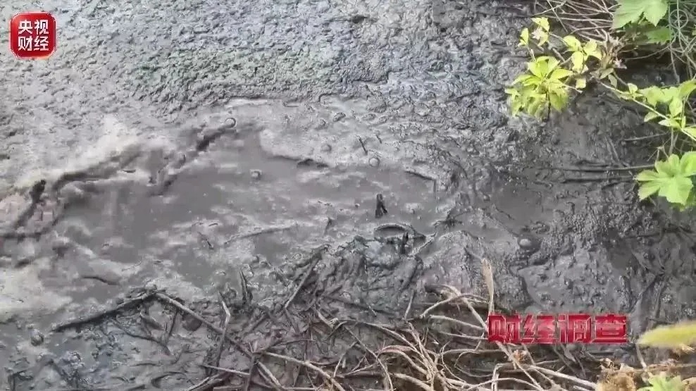央视曝光后，湖南、河北、湖北等地针对“乡村排污乱象”问题成立调查组