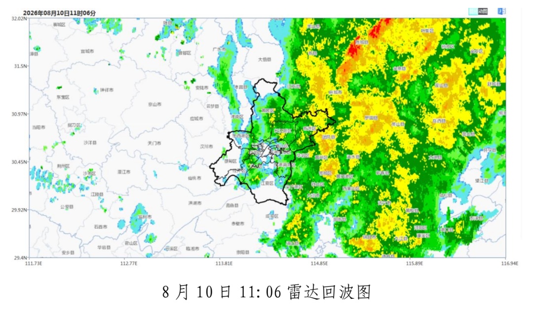 "白海豚"将至,武汉迎9级大风与暴雨,这份防灾避险指南请关注 "白海豚"将至,武汉迎9级大风与暴雨,这份防灾避险指南请关注