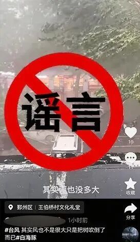 宁波公安处依法处置涉台风“白海豚”谣言案件 宁波公安处依法处置涉台风“白海豚”谣言案件