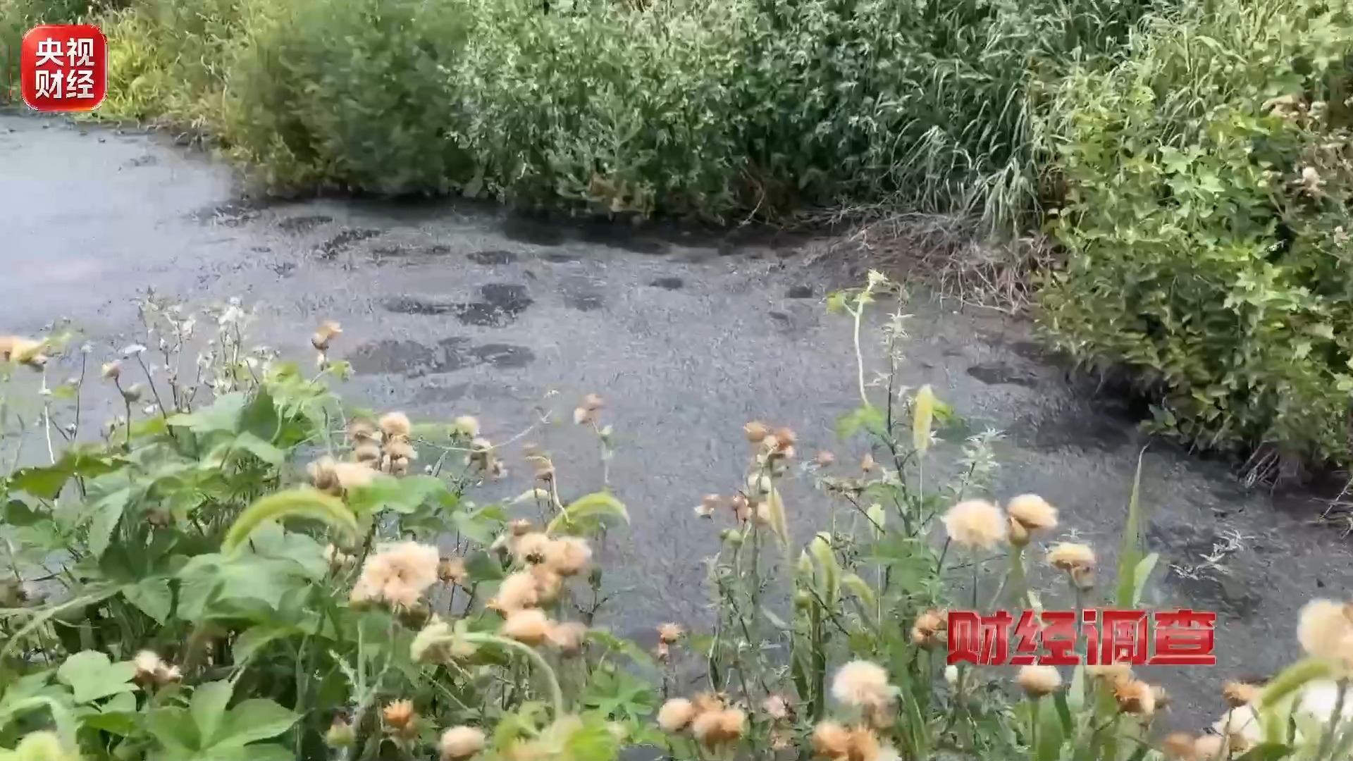 财经调查丨良田被毁 污水入河！这些民生治污工程形同虚设