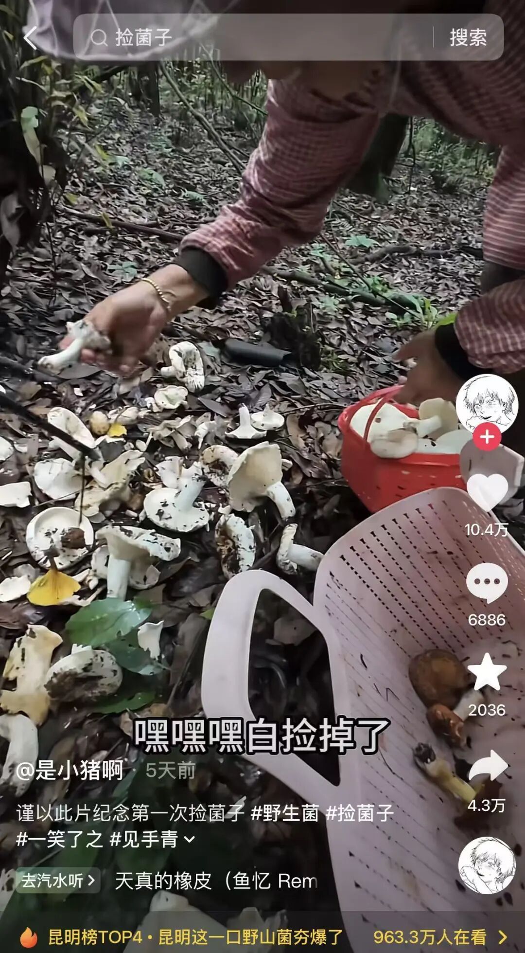 游客来云南吃菌被“锁锅”,火上热搜!网友:怕你“先干为敬”后“先走一步” 游客来云南吃菌被“锁锅”,火上热搜!网友:怕你“先干为敬”后“先走一步”