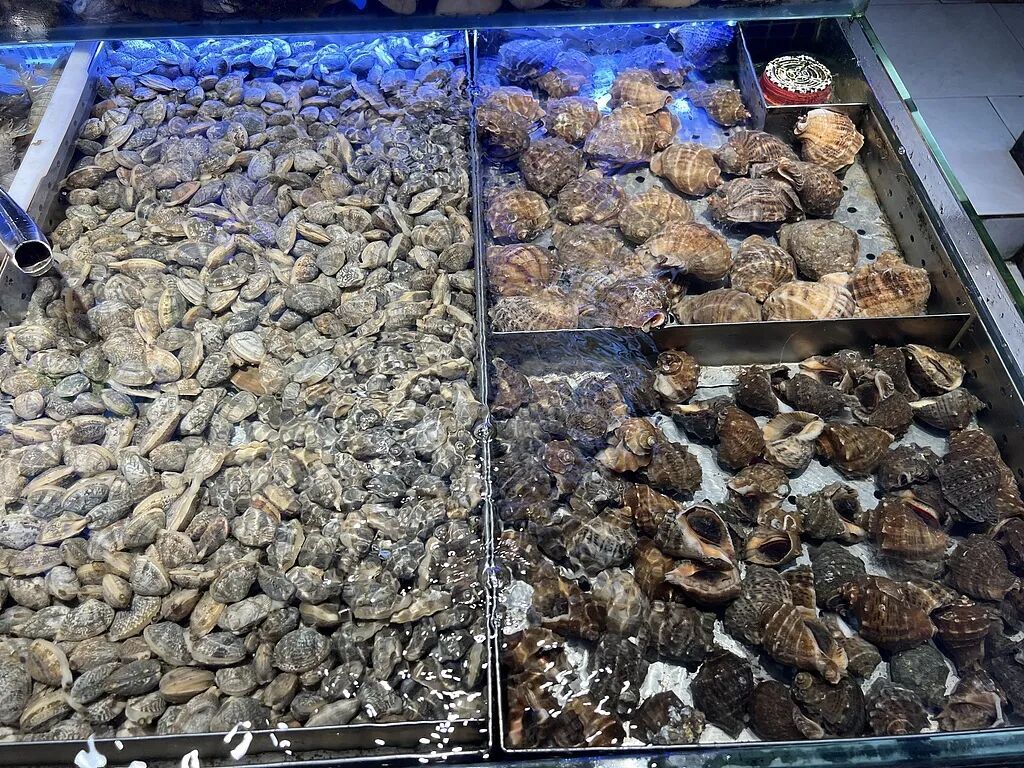 女子洗虾洗出密密麻麻线状虫子,网友:这是寄生虫还是虾崽?医生提醒 女子洗虾洗出密密麻麻线状虫子,网友:这是寄生虫还是虾崽?医生提醒