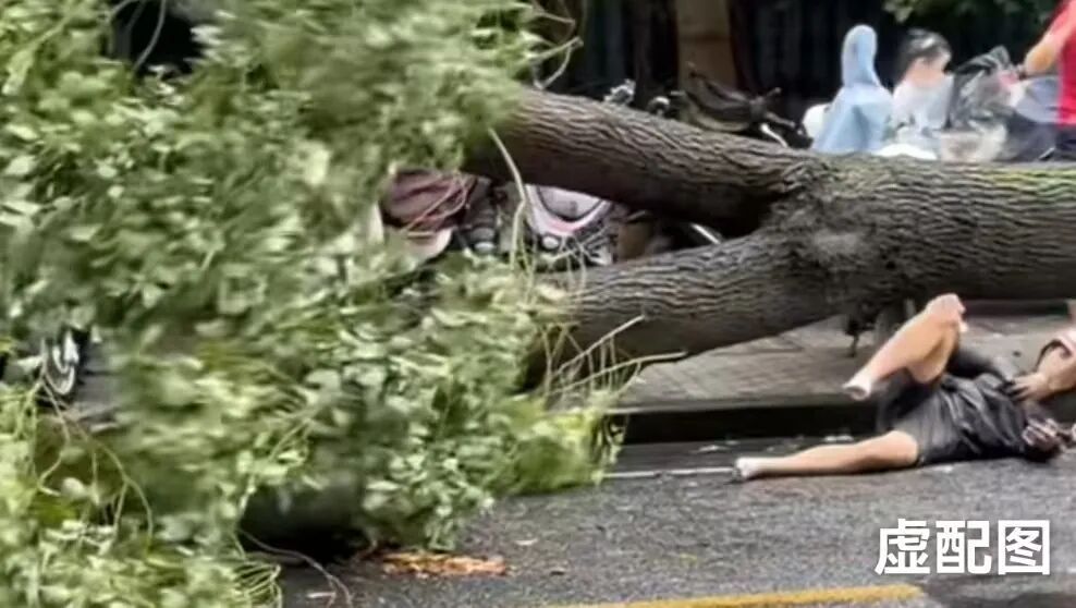 男子台风天骑车下班被树砸死！算工伤吗？公司：台风刮的，与我无关，法院判了！