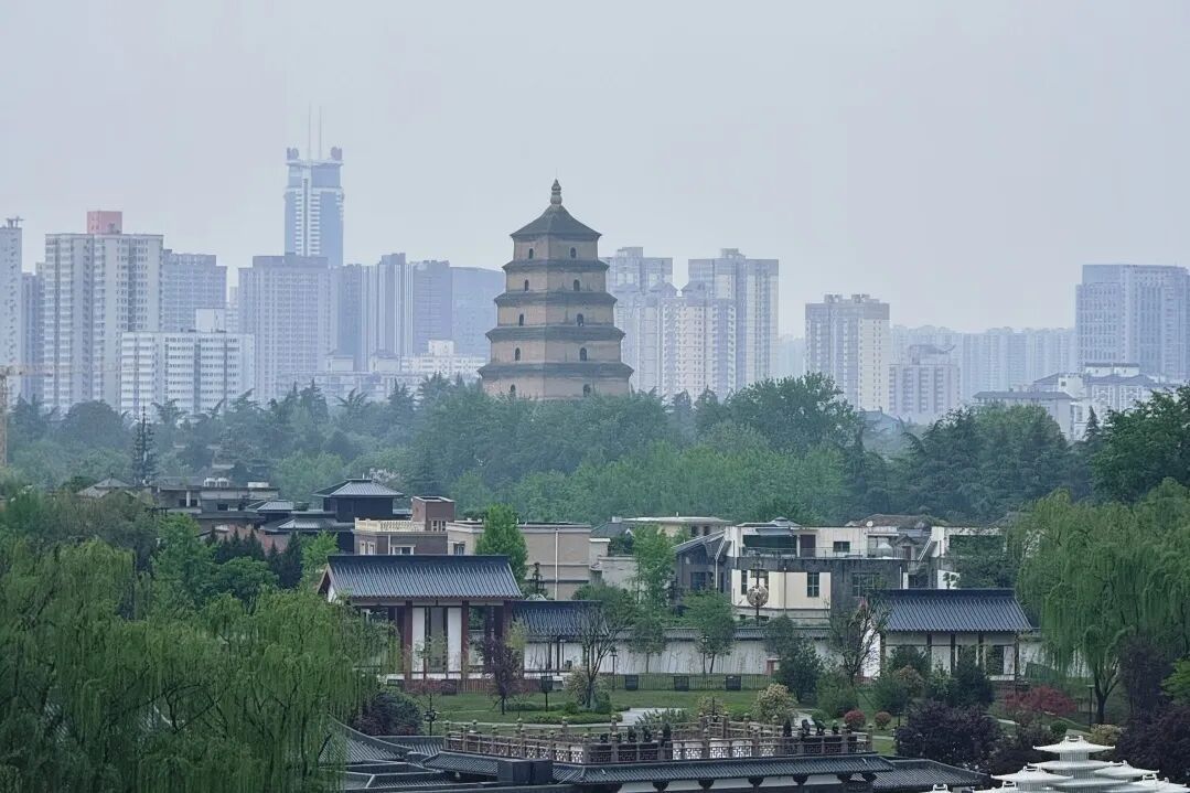 多趟高铁列车票价打折！
