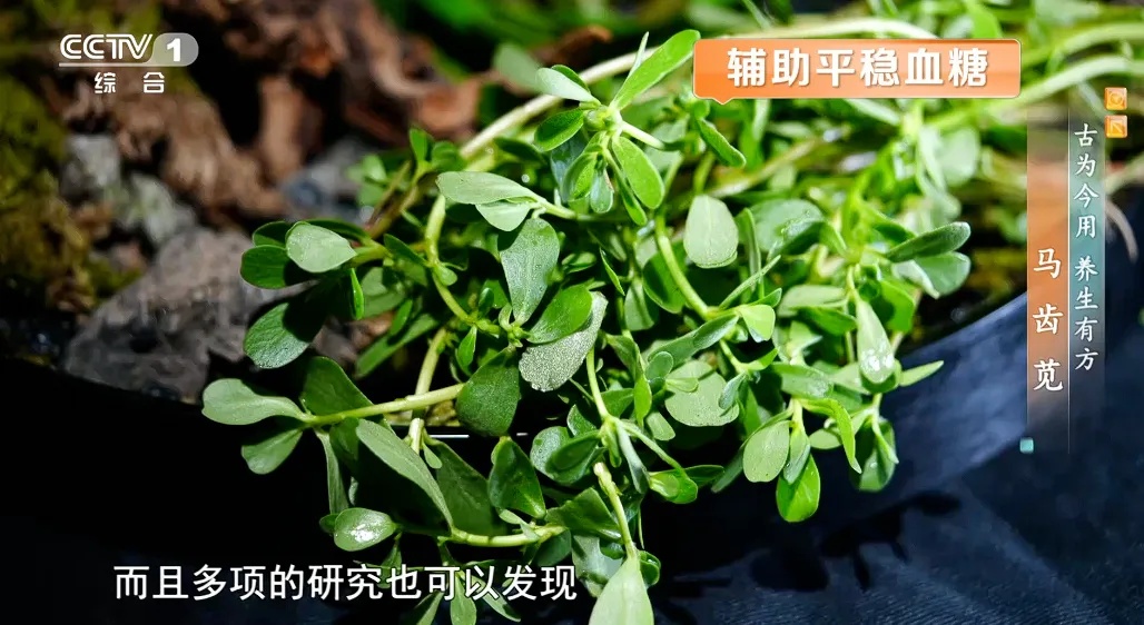 你以为是杂草?竟是补钙“长寿菜”!抗炎祛湿、调脂控糖,但这些人别乱吃 你以为是杂草?竟是补钙“长寿菜”!抗炎祛湿、调脂控糖,但这些人别乱吃