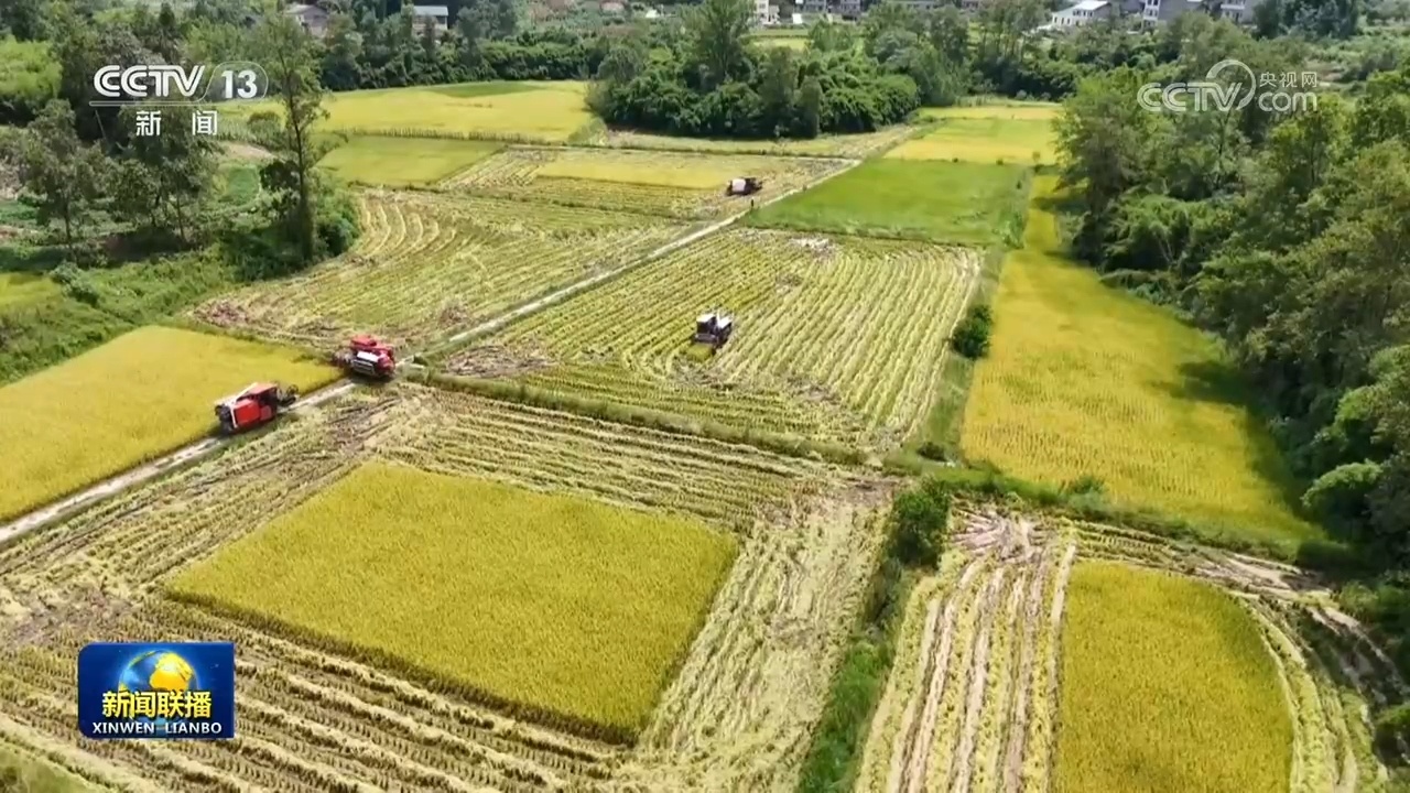 各地抢抓农时做好田间管理 各地抢抓农时做好田间管理