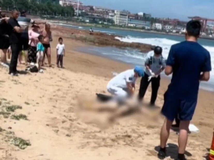 暑期带娃去海边,这份安全指南请先收藏 暑期带娃去海边,这份安全指南请先收藏