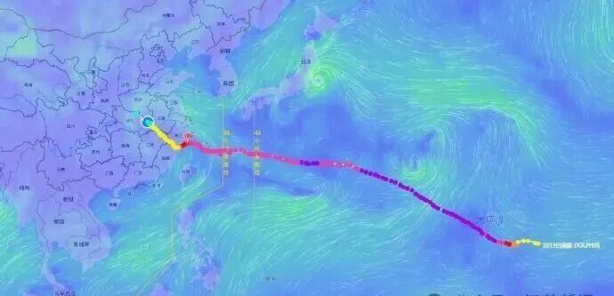 “白海豚”,正式停编! “白海豚”,正式停编!