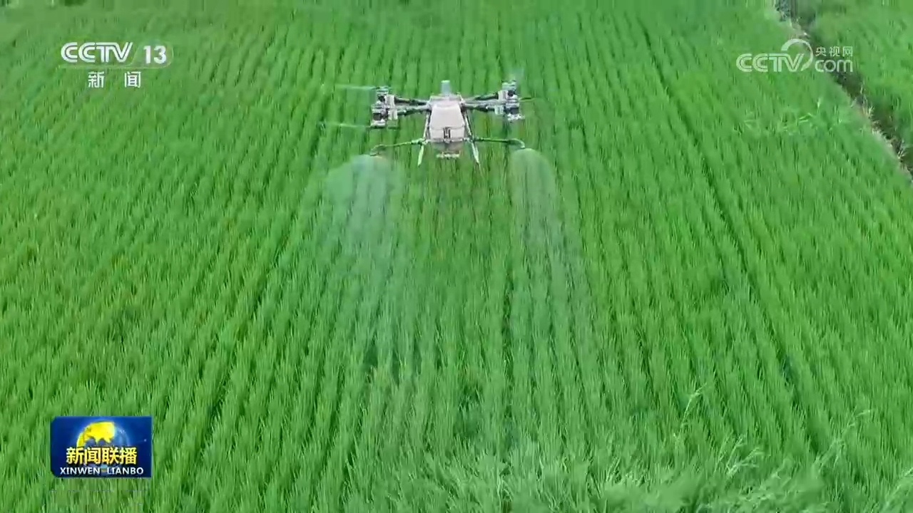 各地抢抓农时做好田间管理 各地抢抓农时做好田间管理
