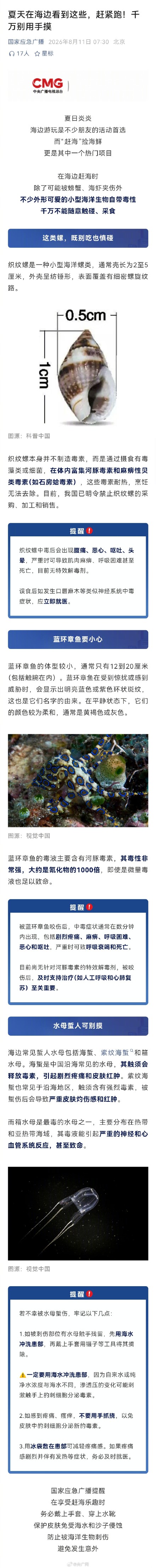 海边看到这些千万别碰 海边看到这些千万别碰