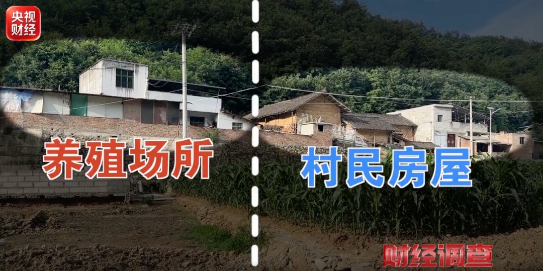 农田黑化不仅仅是环境之痛 农田黑化不仅仅是环境之痛