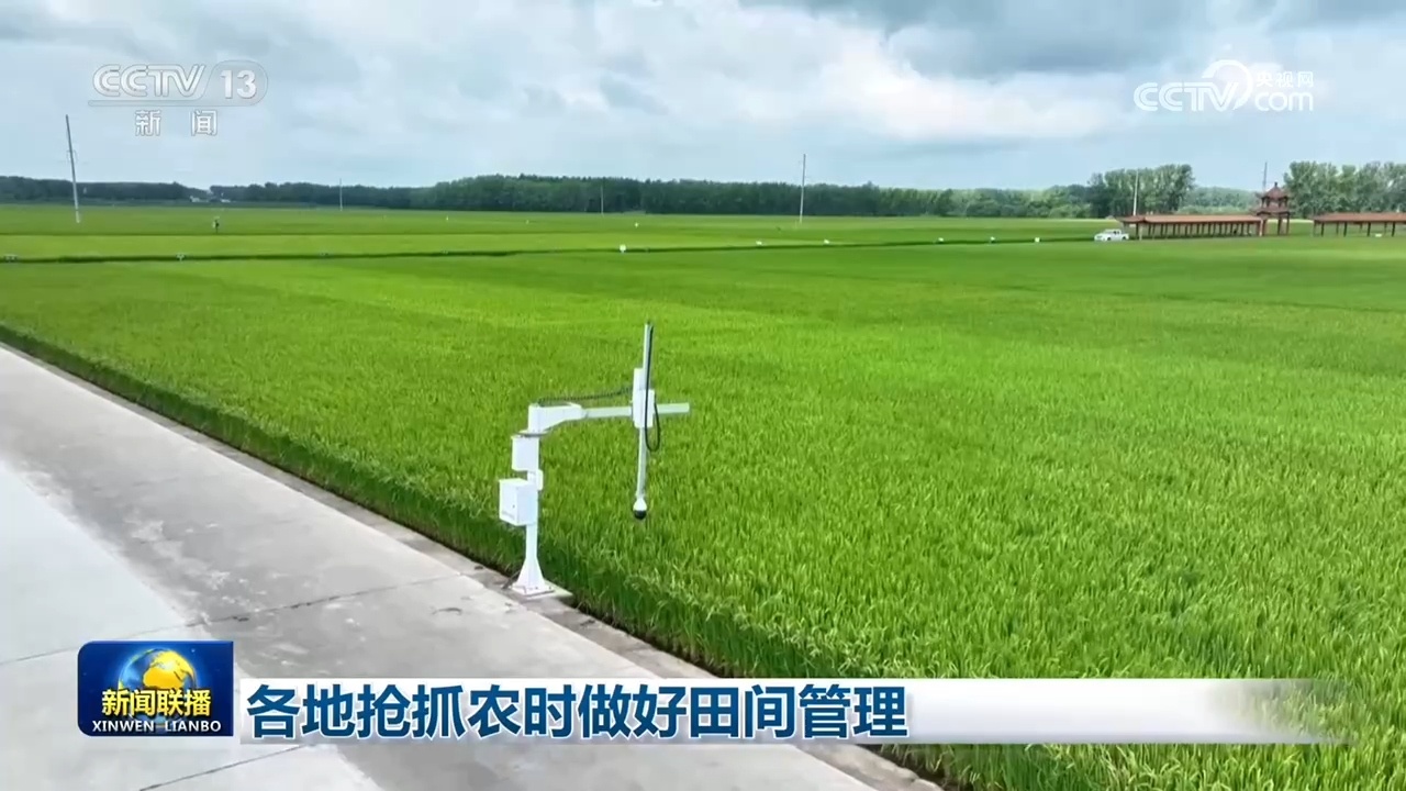 各地抢抓农时做好田间管理 各地抢抓农时做好田间管理
