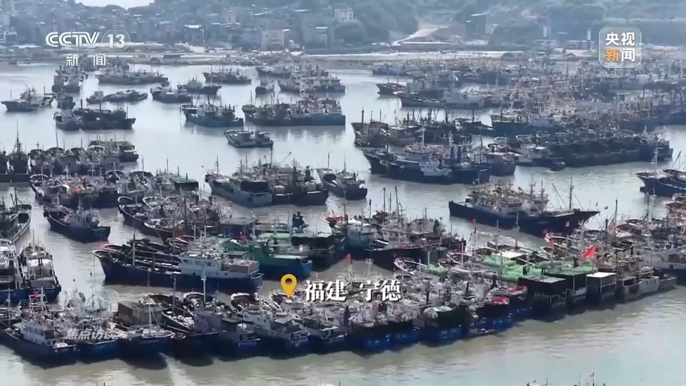 迎战台风“白海豚” 万众携手并肩共担风雨 迎战台风“白海豚” 万众携手并肩共担风雨