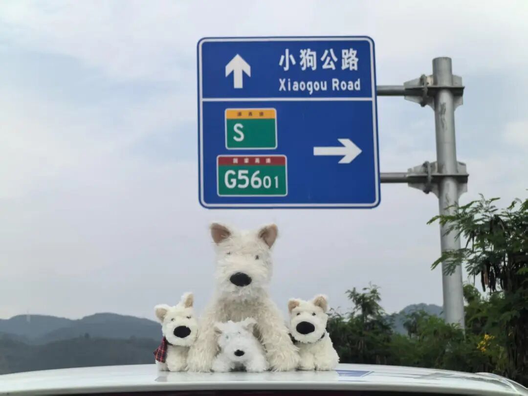 “小狗公路”火了,云南的地名怎么这么萌! “小狗公路”火了,云南的地名怎么这么萌!
