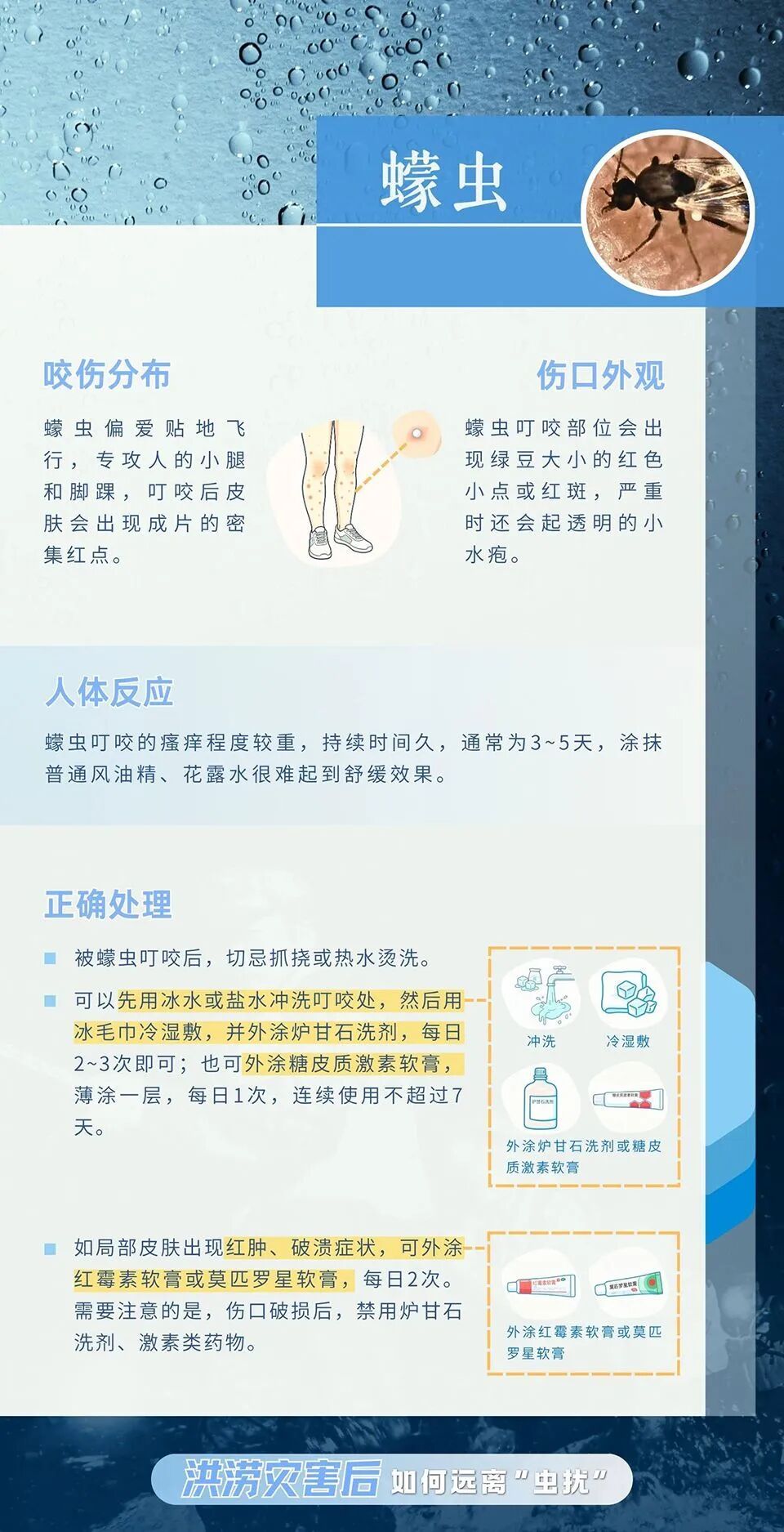 洪涝灾害后，如何远离“虫扰”？这份“健康锦囊”请收好！