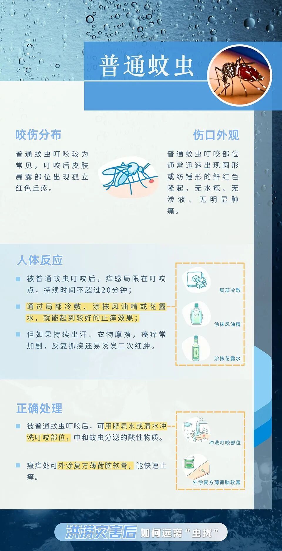 洪涝灾害后，如何远离“虫扰”？这份“健康锦囊”请收好！