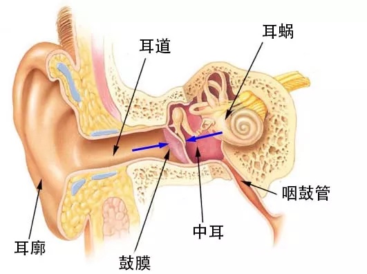 停手,不要掏耳屎了 停手,不要掏耳屎了