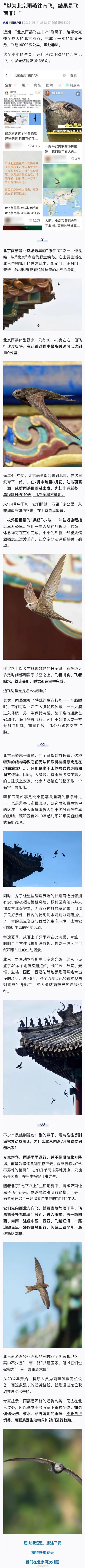 以为北京雨燕往南飞 结果是飞南非 以为北京雨燕往南飞 结果是飞南非