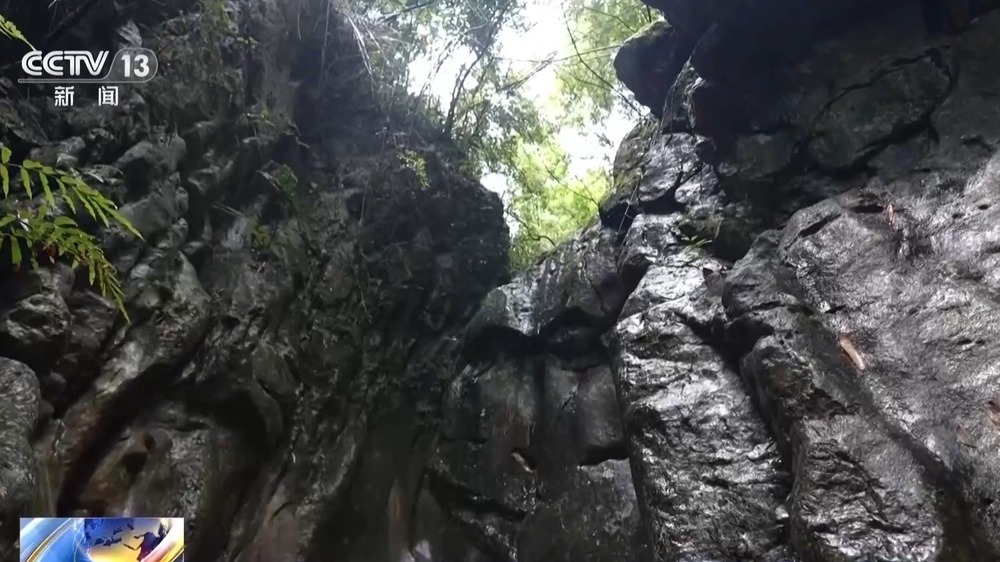 法治在线丨网红“秘境”竟是险境 揭秘“野峡谷”暗藏安全隐患