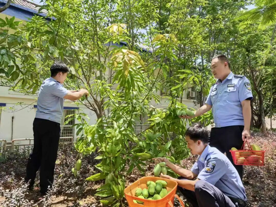 两名小朋友向派出所发来了“挖鸡枞申请书” …… 两名小朋友向派出所发来了“挖鸡枞申请书” ……