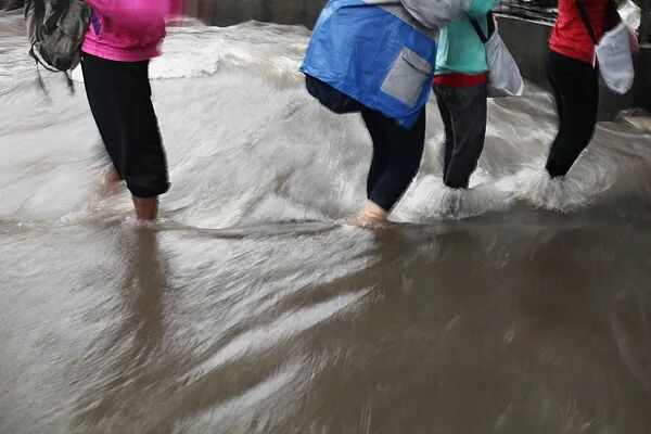 上海市疾控中心重要提醒:这些直接扔! 上海市疾控中心重要提醒:这些直接扔!