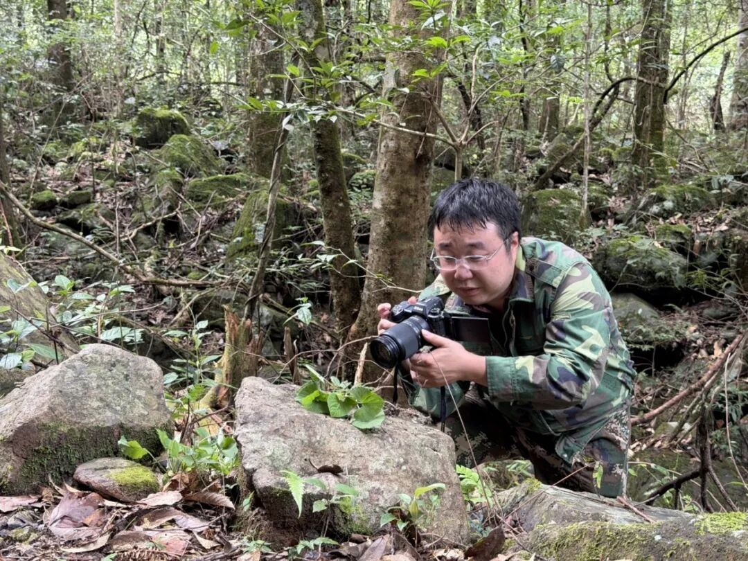 江西一地又发现新记录物种 江西一地又发现新记录物种