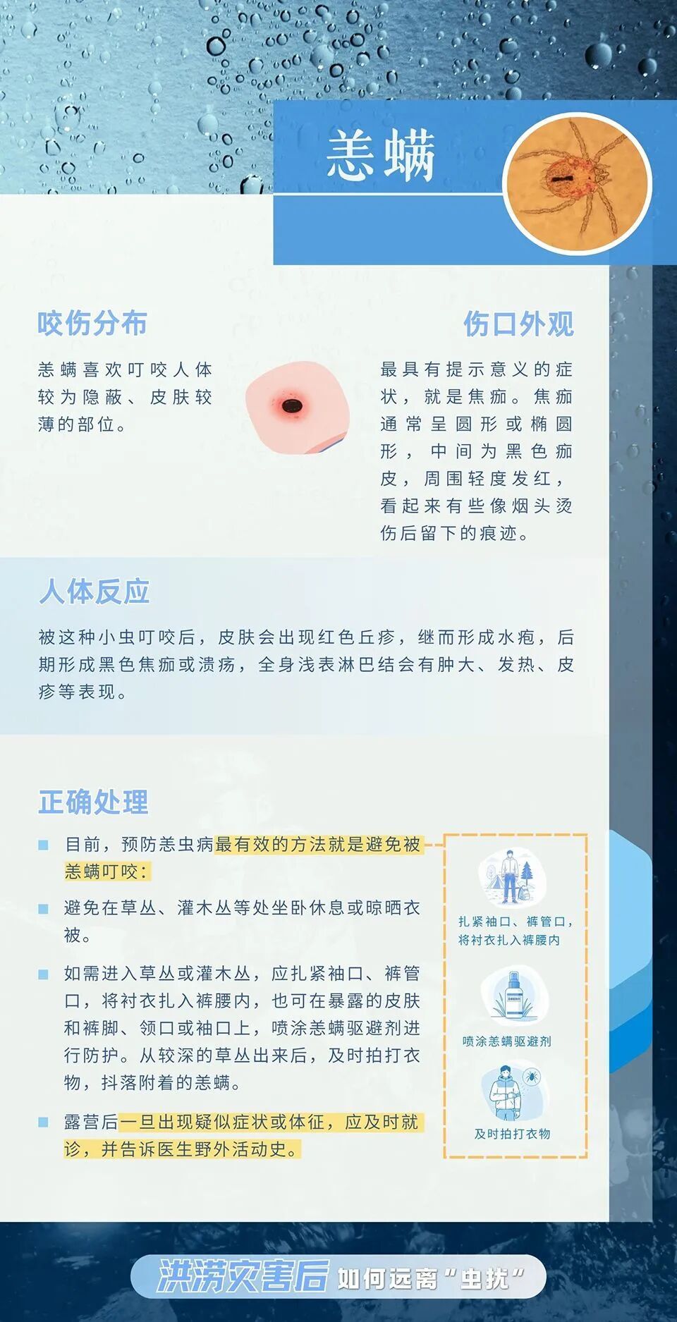 洪涝灾害后，如何远离“虫扰”？这份“健康锦囊”请收好！