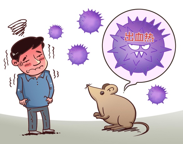 台风“白海豚”登陆沿海，为啥千里之外的北京被暴雨刷屏？
