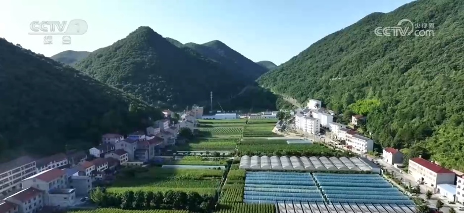 统筹调度、错峰上市 各地“菜篮子”供应总体形势平稳 价格运行稳健可控