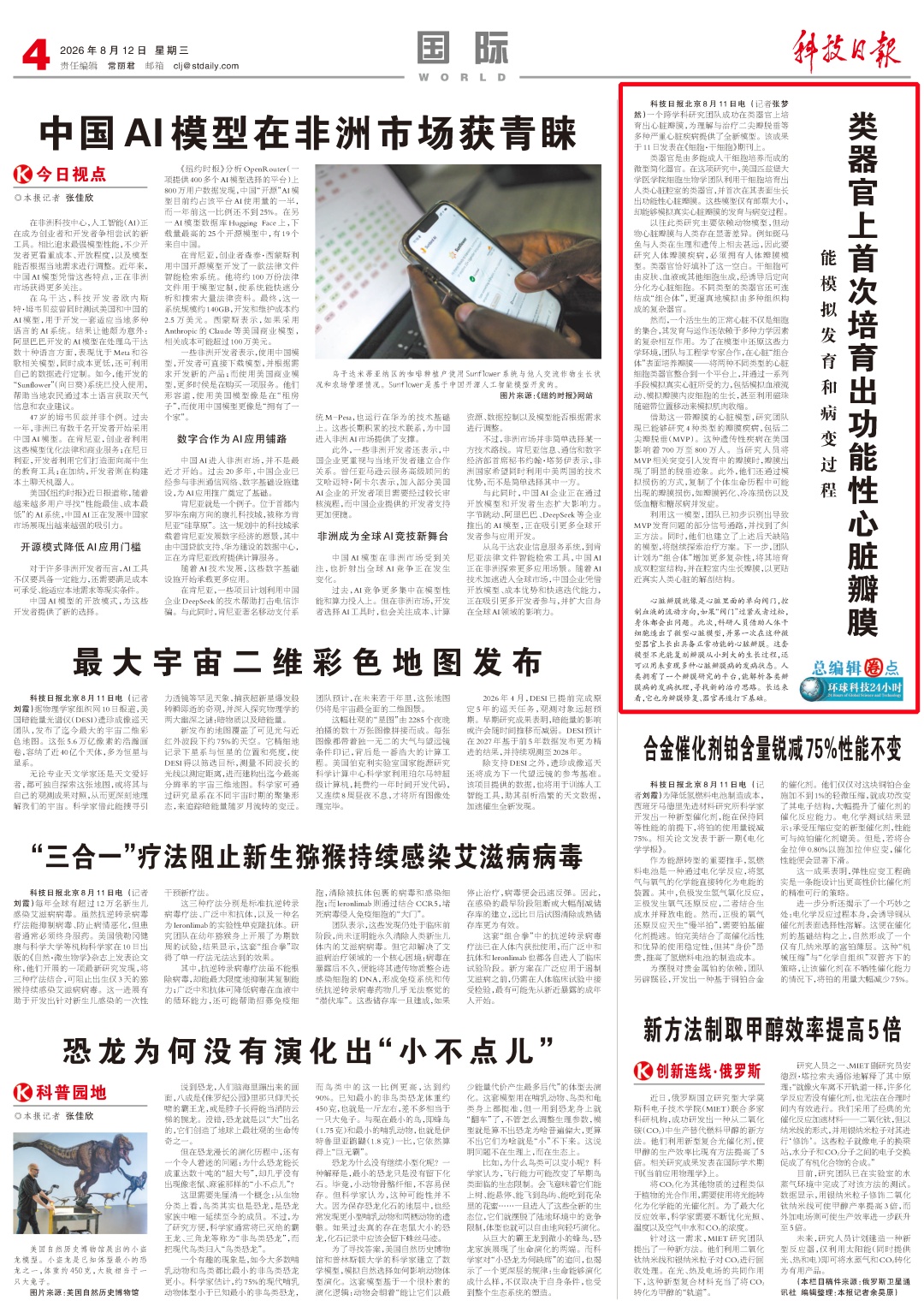 类器官上首次培育出功能性心脏瓣膜！仅邮票大小，却能模拟真实病变过程