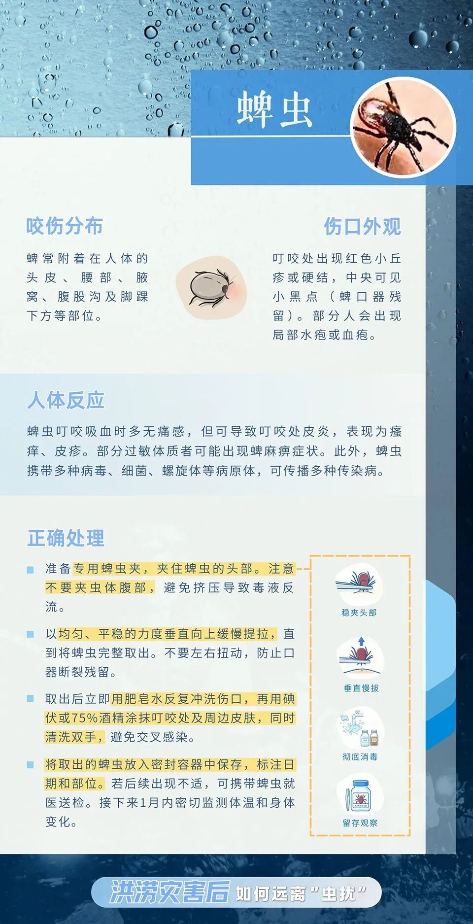 洪涝灾害后，如何远离“虫扰”？这份“健康锦囊”请收好！