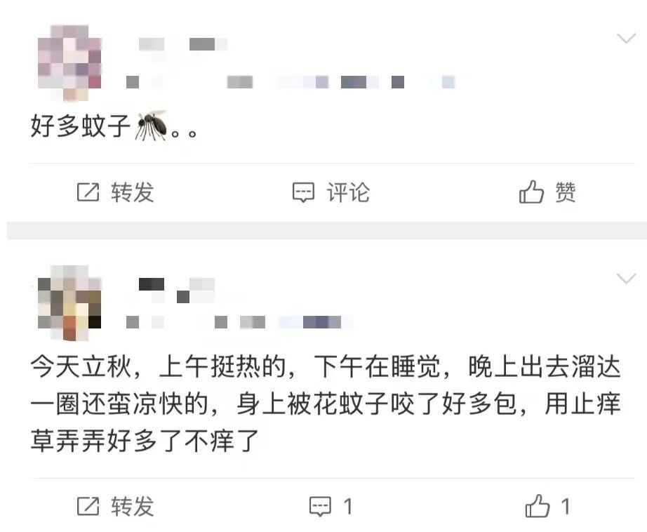 “秋蚊”猛于虎,广东疾控:建议外出尽量穿浅色衣服 “秋蚊”猛于虎,广东疾控:建议外出尽量穿浅色衣服