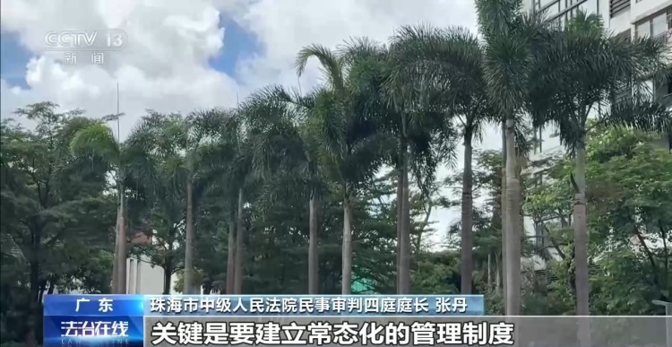 老人小区内遛弯被大王椰叶片砸成十级伤残 物业要担责吗？