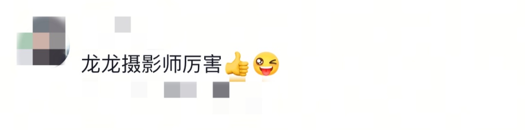 这对父子，34天内接连救下三条命！网友盛赞：原来勇敢真的会遗传