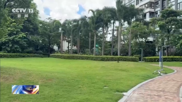 老人小区内遛弯被大王椰叶片砸成十级伤残 物业要担责吗？
