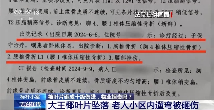 老人小区内遛弯被大王椰叶片砸成十级伤残 物业要担责吗？