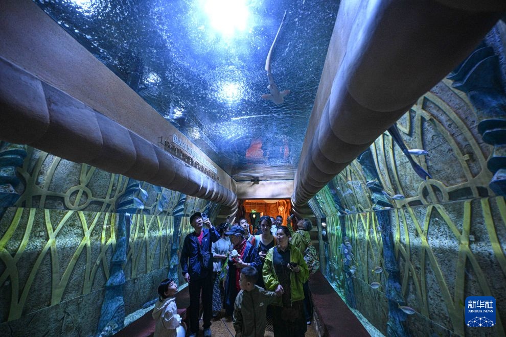 海南：高标准建设国际旅游消费中心
