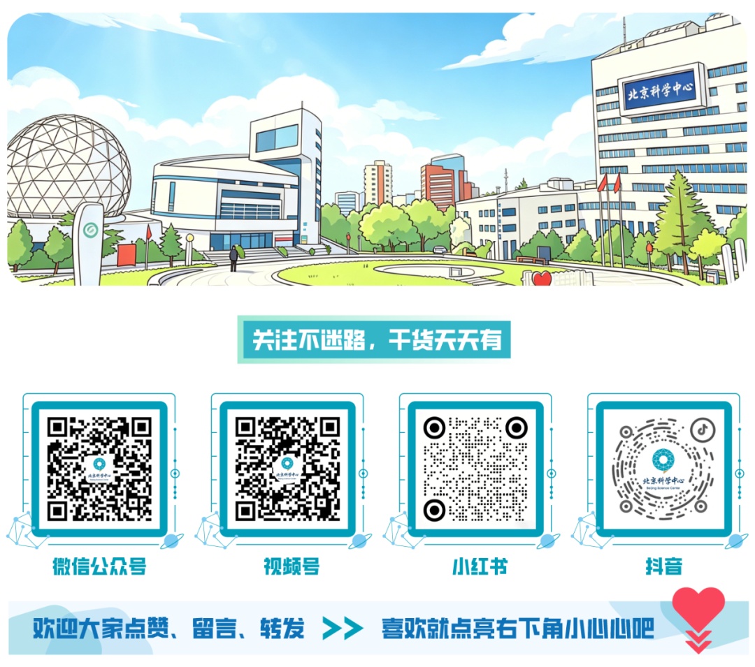 提醒!洗头后这个动作不改,脱发只是最轻的代价 提醒!洗头后这个动作不改,脱发只是最轻的代价