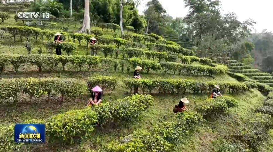 我国常态化帮扶实现稳健开局