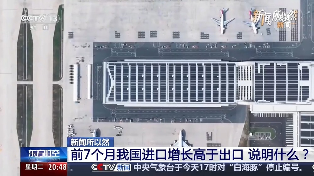 不只是“世界工厂”更是“世界市场”！上半年中国都在买什么？