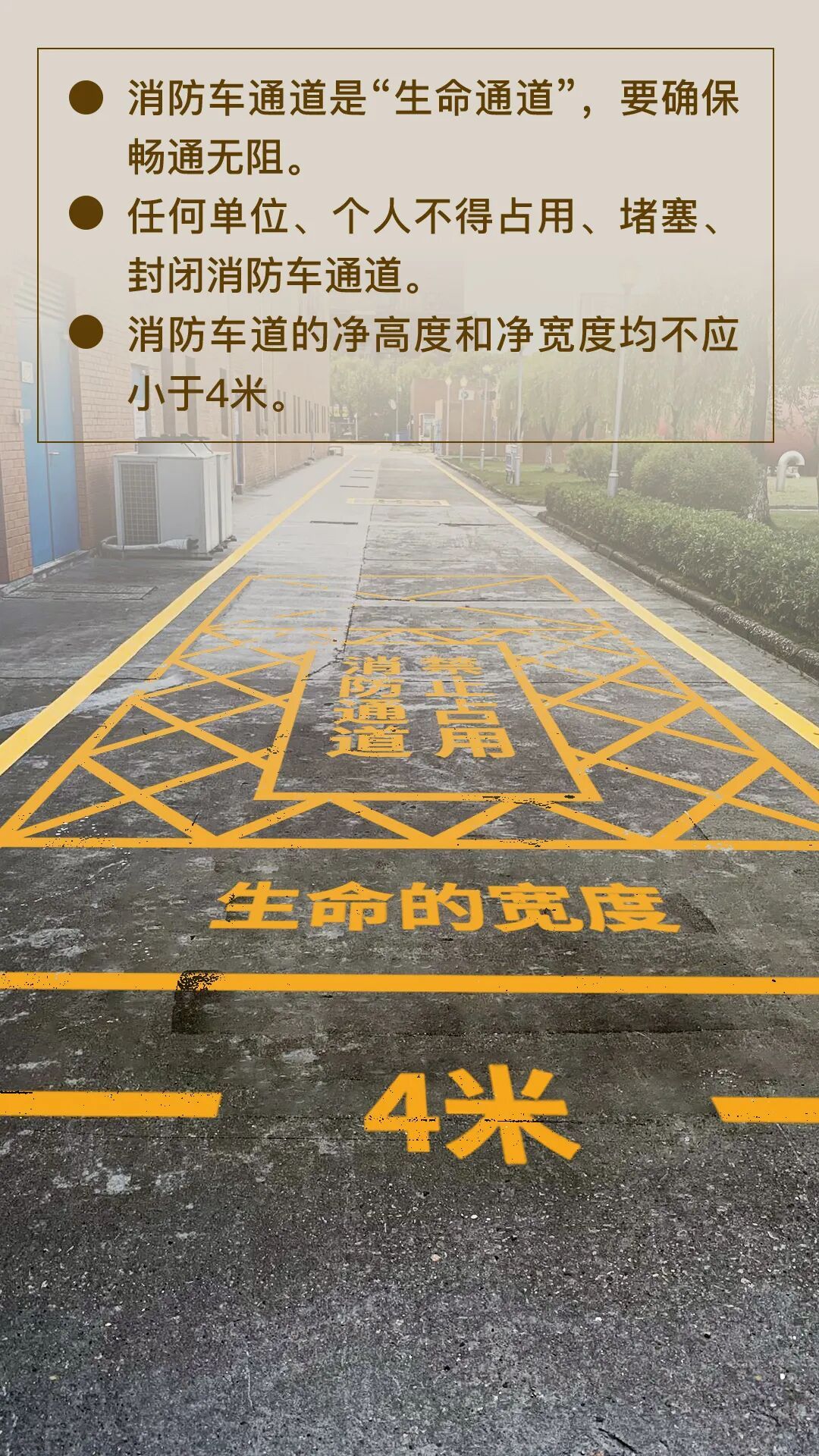 记住这些关键“点”，畅通你的“生命通道”！