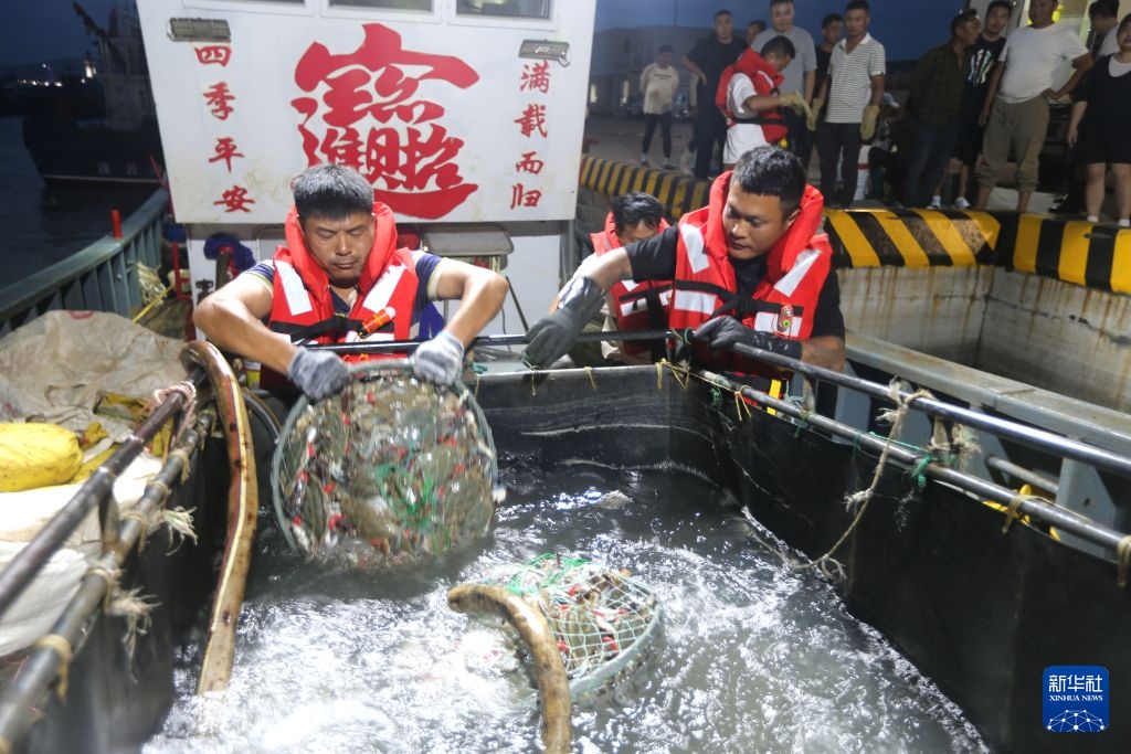 江苏连云港：开捕归来蟹满仓