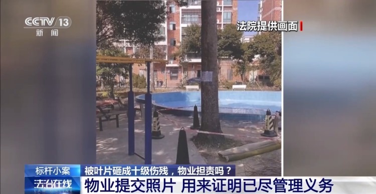 老人小区内遛弯被大王椰叶片砸成十级伤残 物业要担责吗？