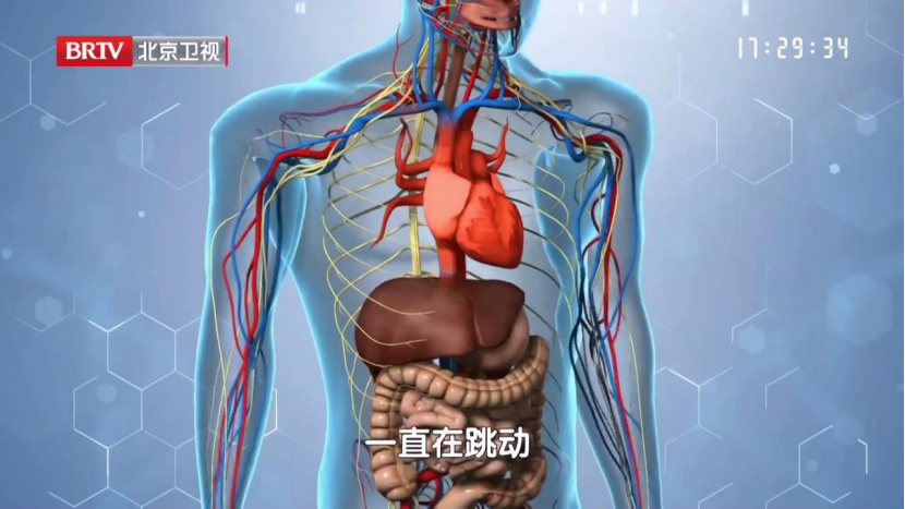 中老年猝死真相:不是心慌,是它悄悄“变形”了,高血压也是帮凶之一 中老年猝死真相:不是心慌,是它悄悄“变形”了,高血压也是帮凶之一